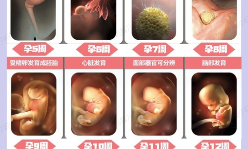 15个月宝宝不会叫妈妈网 - 网站提供15个月宝宝不会叫爸爸妈妈怎么办小常识、15个月宝宝不会叫妈妈怎么回事